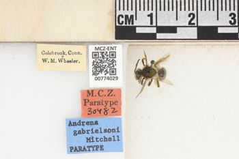 Media type: image;   Entomology 774029 Aspect: Labels